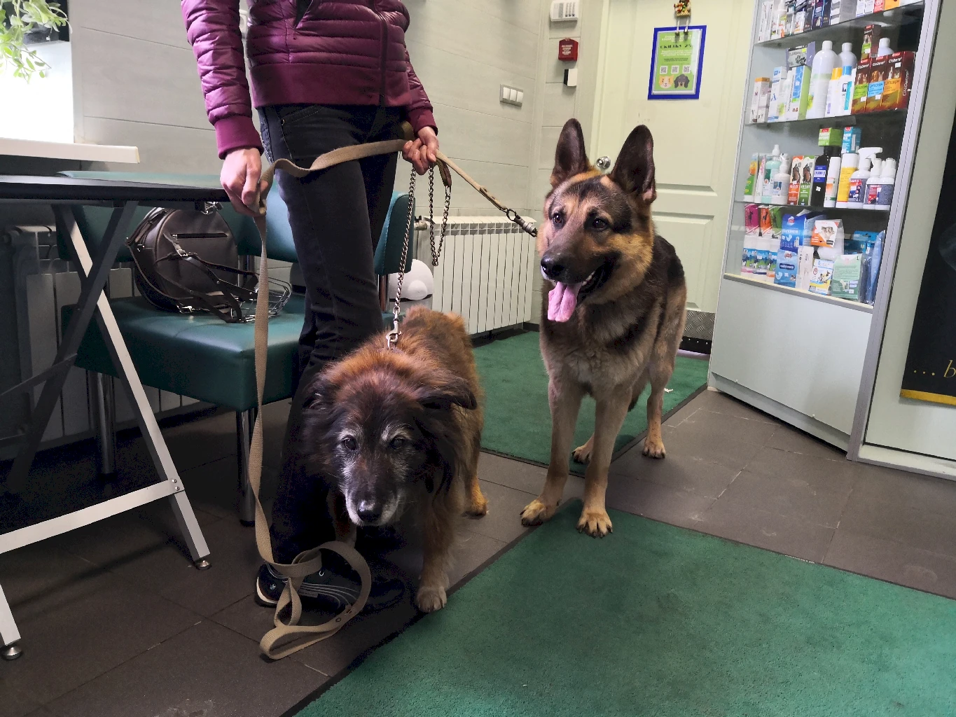 Дневной стационар