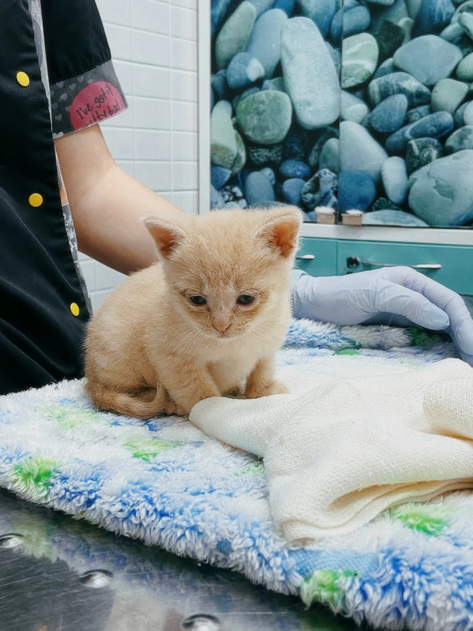 Диспансеризация