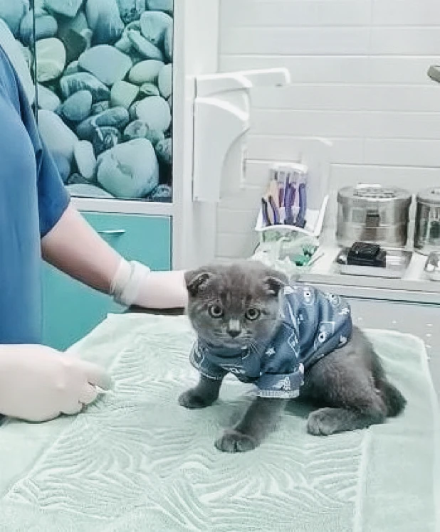 Диспансеризация