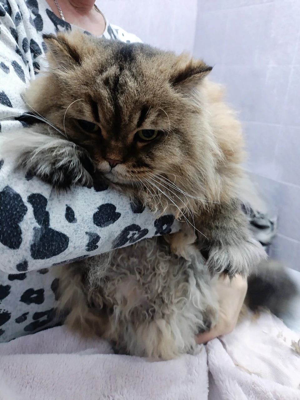 Кардиология