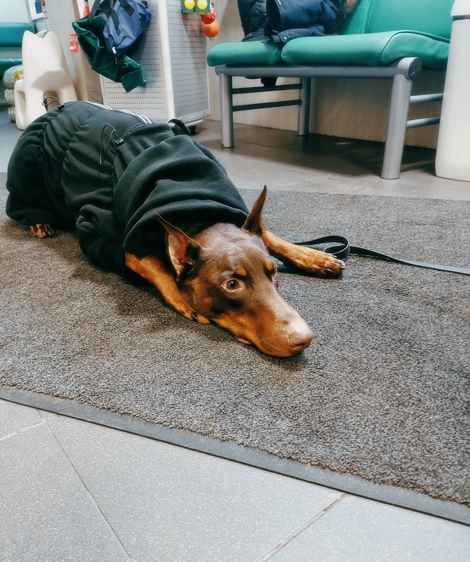 Кардиология