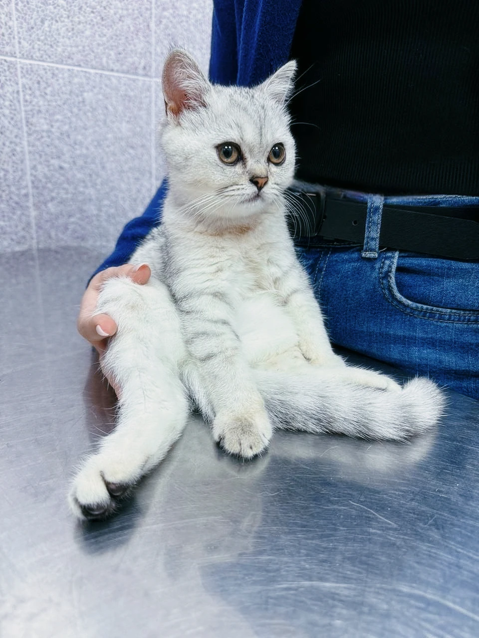 Кардиология