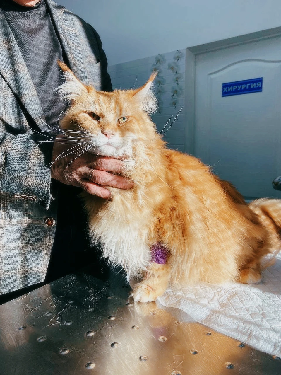 Кардиология