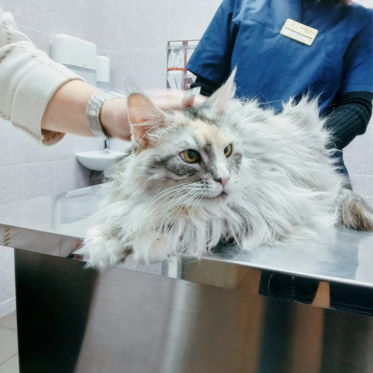 Кардиология