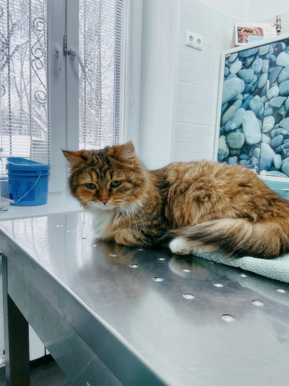 Кардиология