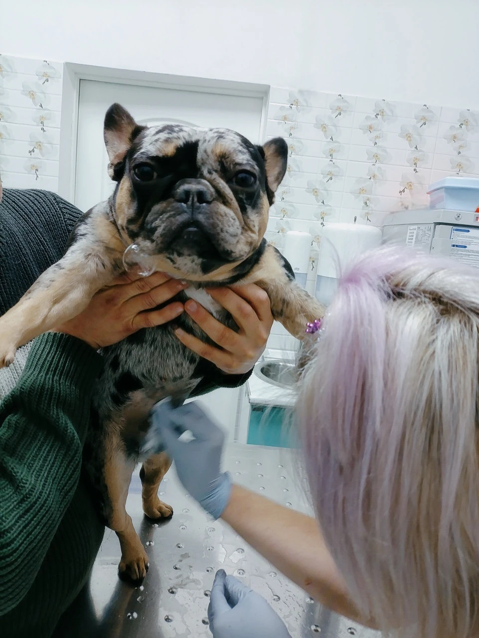 Дерматология