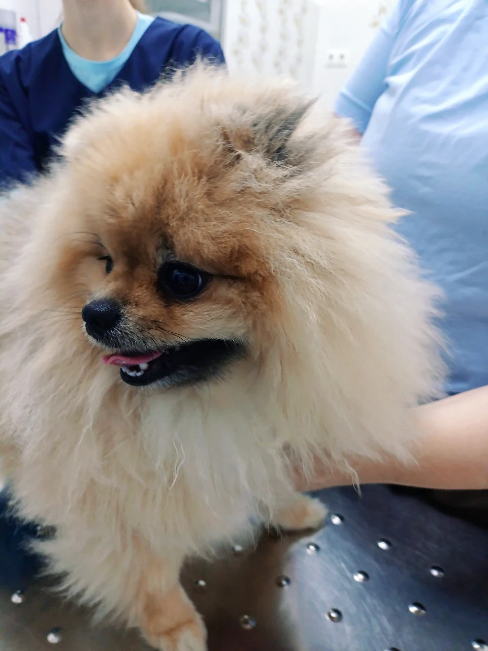 Дерматология