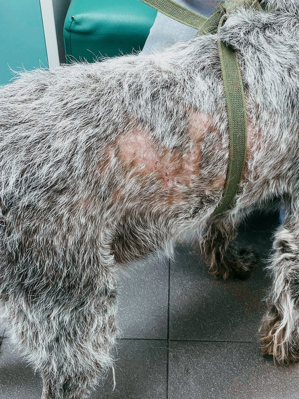 Дерматология