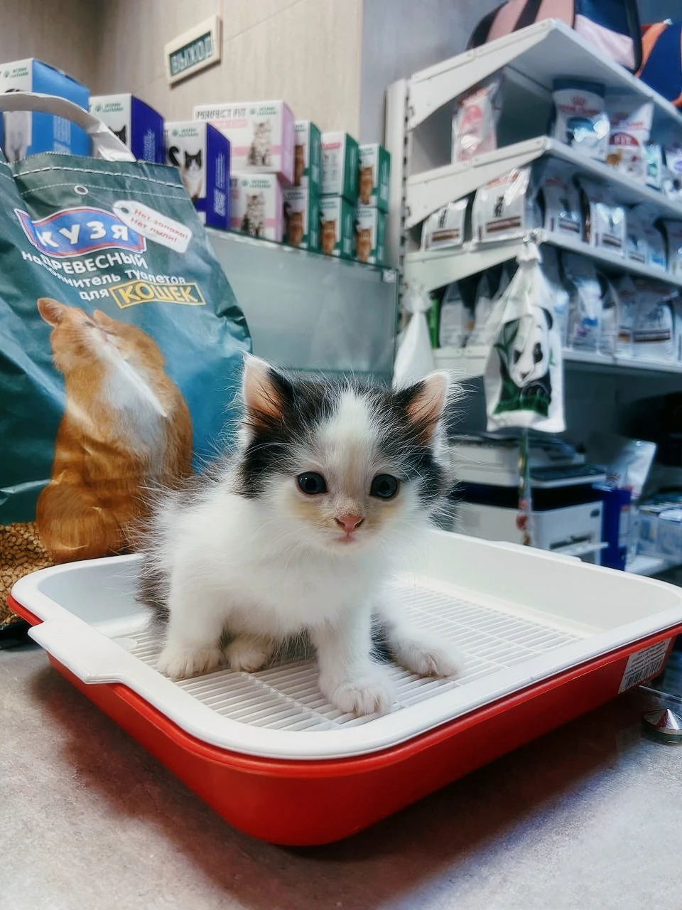 Дерматология