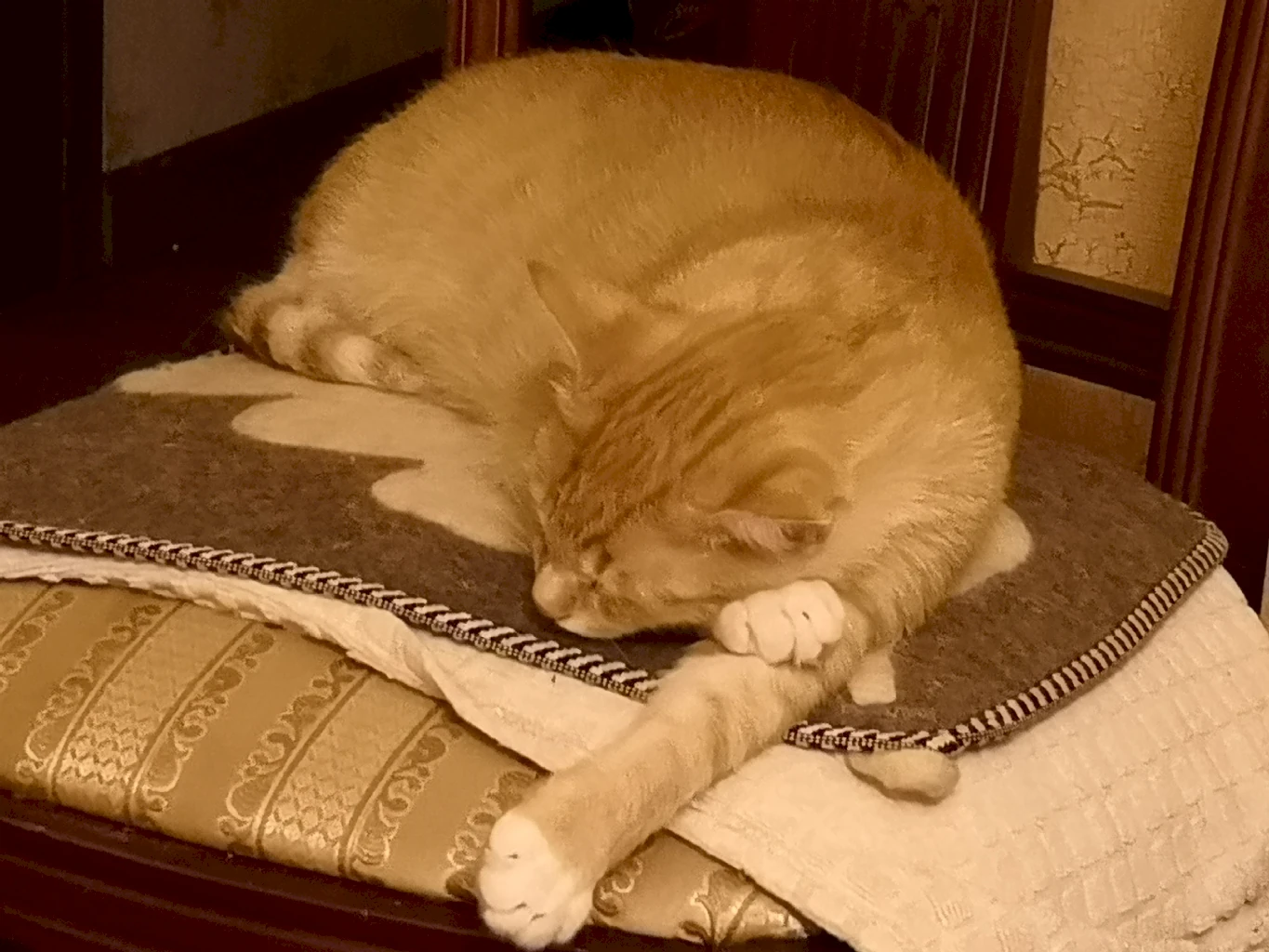 Профилактика болезней у домашних животных: секреты долгой и здоровой жизни