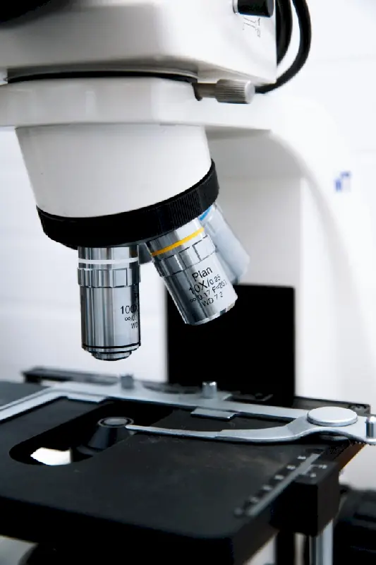 Трихоскопия у животных (исследование волос)