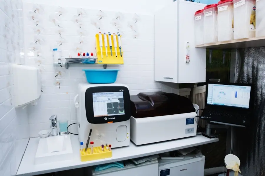 Общий анализ мочи, соотношение белок/креатинин