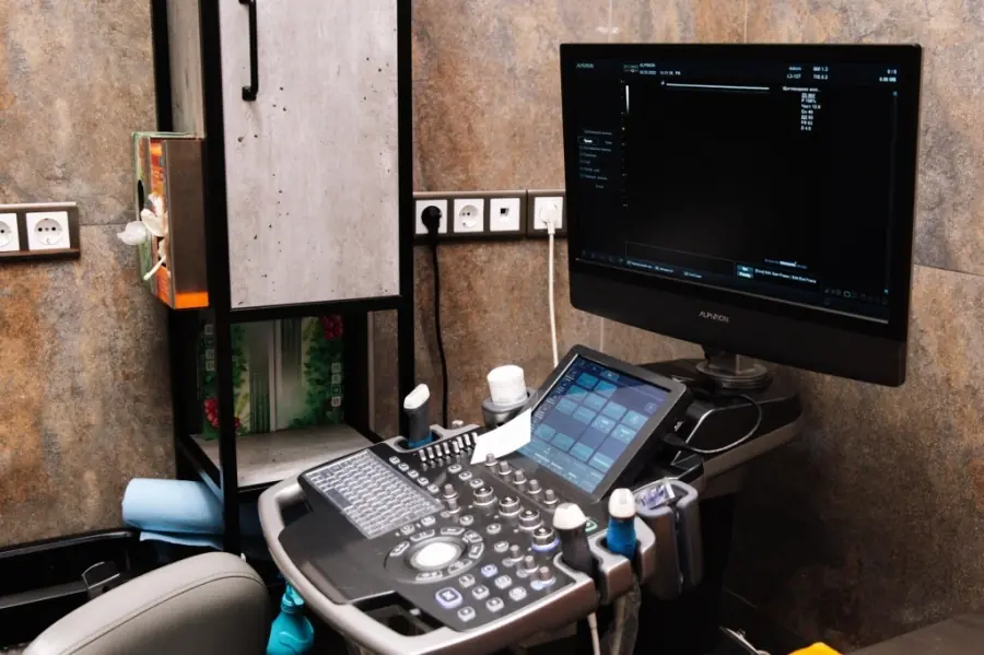 УЗИ в ветклинике для животных