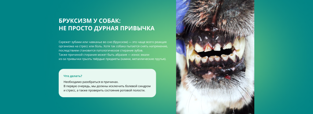 Баннер.png