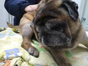 IMG_20171121_153129-300x225.jpg IMG_20171121_153129-300x225.jpg