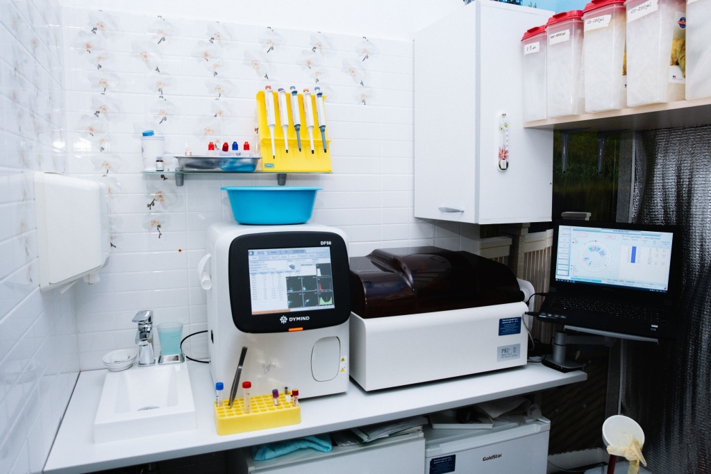 IMG_7322 (1).jpg IMG_7322 (1).jpg