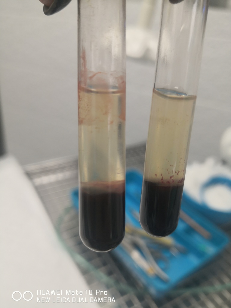 4ptwt5u3ars3ex68hf39ea511a6nz96h.jpg 4ptwt5u3ars3ex68hf39ea511a6nz96h.jpg